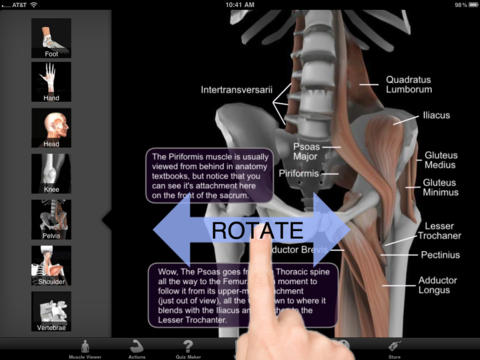 تطبيق Muscle & Bone Anatomy 3D العضلات والعظام ثري دي