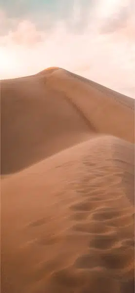 خلفية كثبان رملية صحراء بر